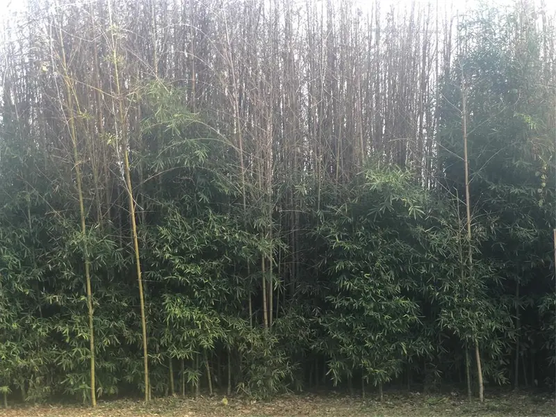 2506 North Bay Street, Horseshoe Bay, TX 78657