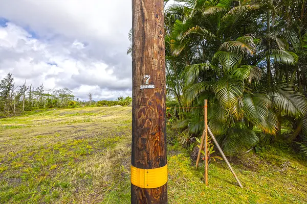 POMAIKAI ST, Pahoa, HI 96778