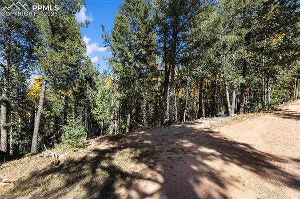 679 Calcite DR, Divide, CO 80814