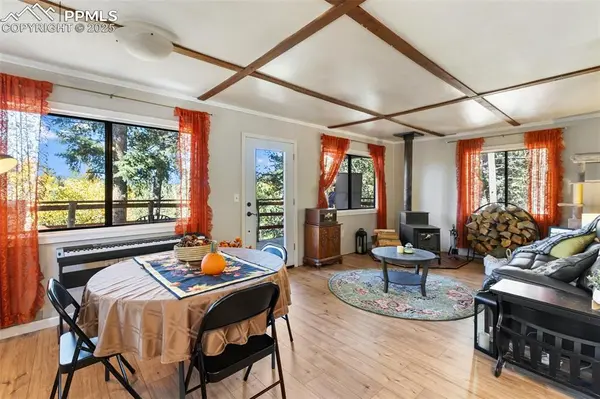 679 Calcite DR, Divide, CO 80814