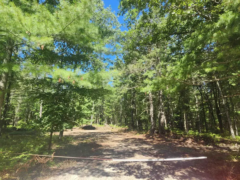 0 E Lincoln ST, Baldwin Twp, MI 48763