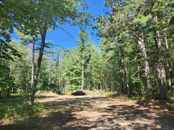 0 E Lincoln ST, Baldwin Twp, MI 48763