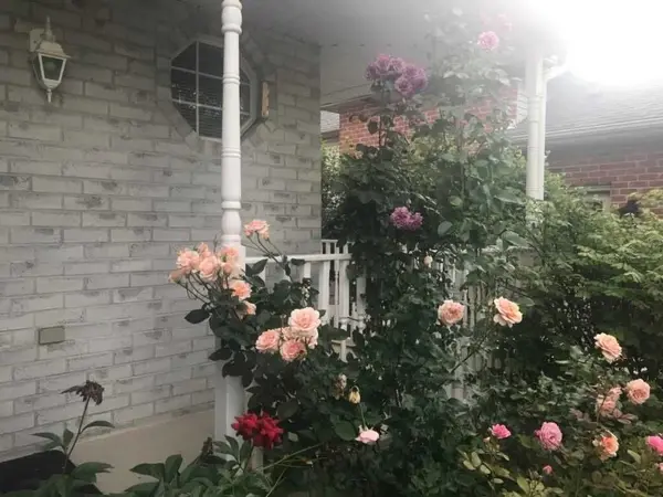 19 Tanoak DR, London North, ON N6G 4Z9