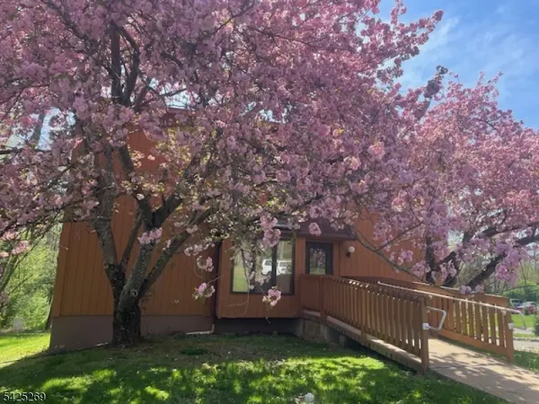 930 Mount Kemble Ave, Harding Twp., NJ 07960