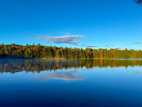 1221 East Bay RD #6, Muskoka Lakes, ON P0C 1M0