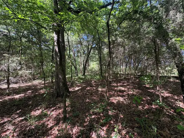 25 acres County Road 2348, Pickton, TX 75471