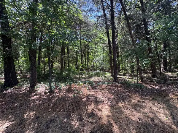 25 acres County Road 2348, Pickton, TX 75471