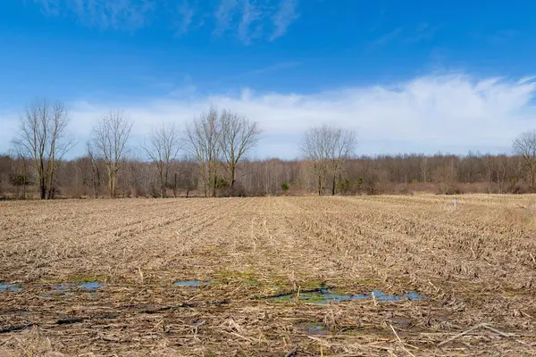 VL S Iva RD, Fremont Twp, MI 48655