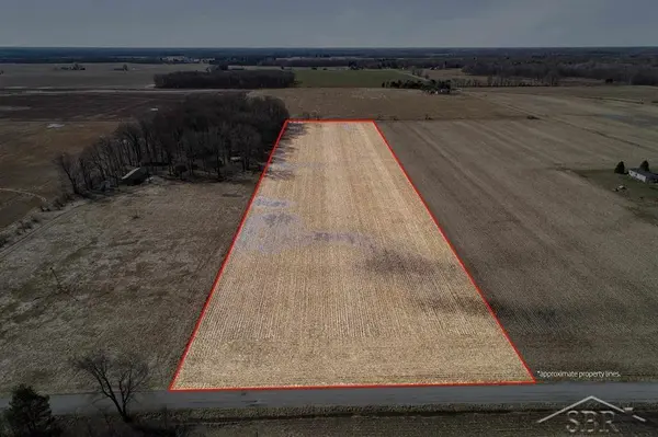 9.9 Acres Grabowski RD, Fremont Twp, MI 48655