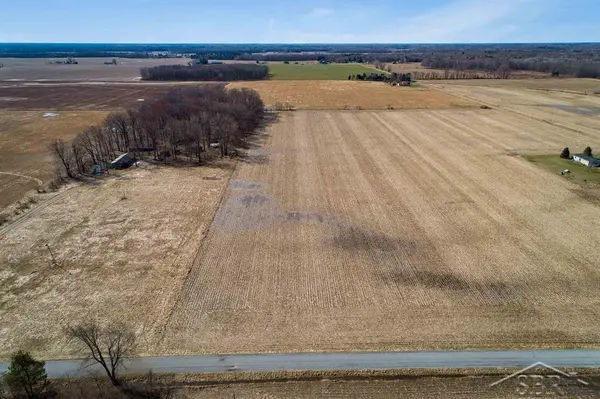 9.9 Acres Grabowski RD, Fremont Twp, MI 48655