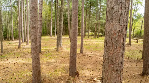 536 Pine ST, Greater Madawaska, ON K0J 2R0