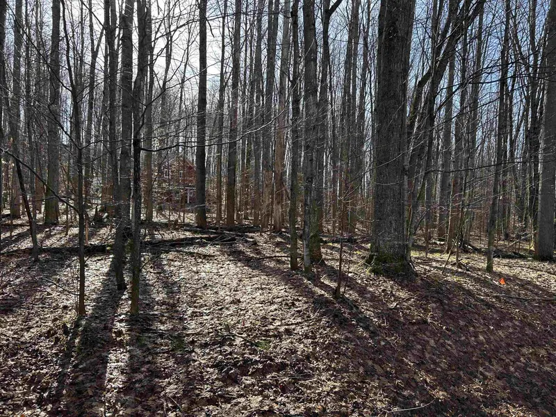 Lot 39 Schutzen LN, Custer Twp, MI 49615