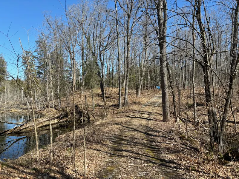 185 Julian Lake RD, North Kawartha, ON K0L 3E0