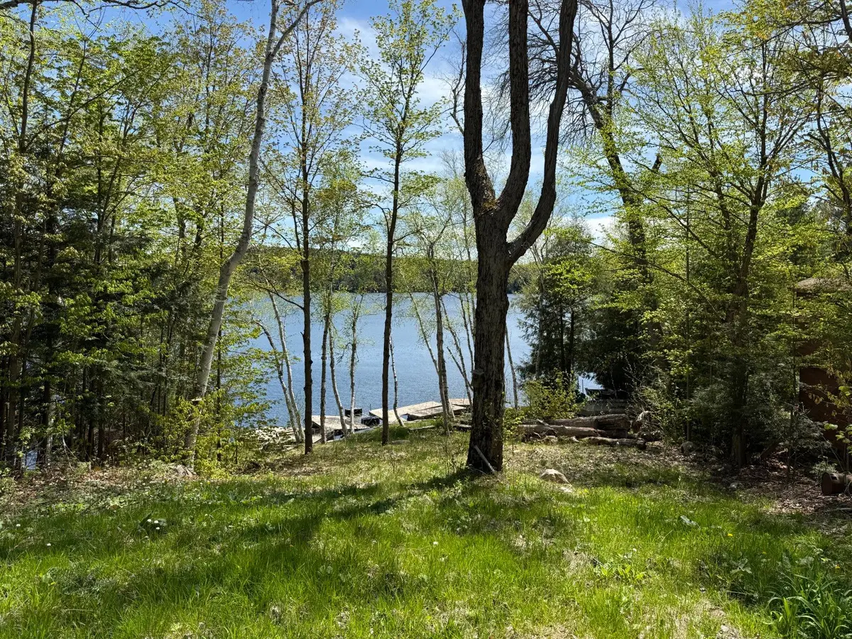 2612 Wilkinson RD, Dysart Et Al, ON K0M 1S0