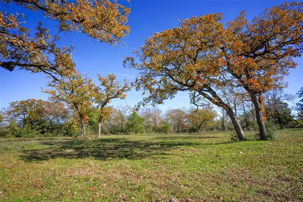 15438 Farm to Market 3090, Anderson, TX 77830