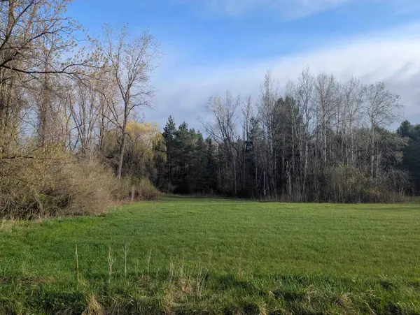 N/A Pine ST, Arenac Twp, MI 48749