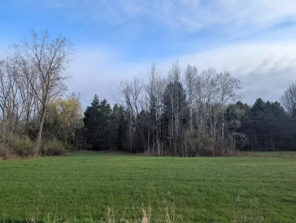 N/A Pine ST, Arenac Twp, MI 48749