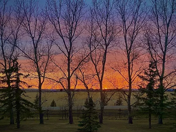 80061 Range Road 205, Rural Lethbridge County, AB T1J 4P4