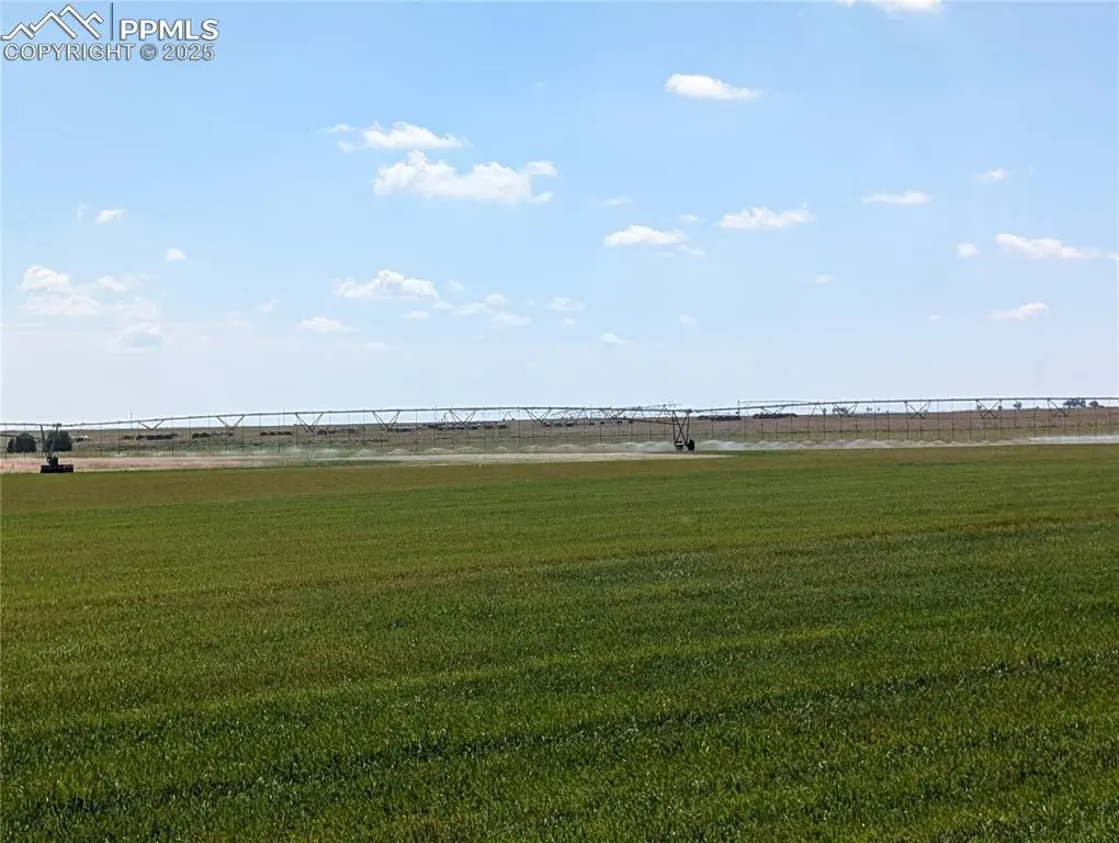 23500 County Road 5, Rush, CO 80833