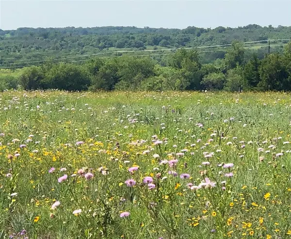 523 Ava Grace Lane, Dublin, TX 76446