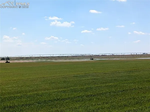 23500 County Road 5, Rush, CO 80833