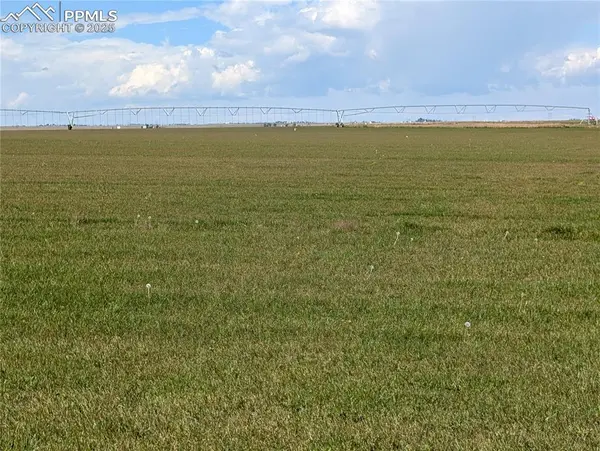 23500 County Road 5, Rush, CO 80833