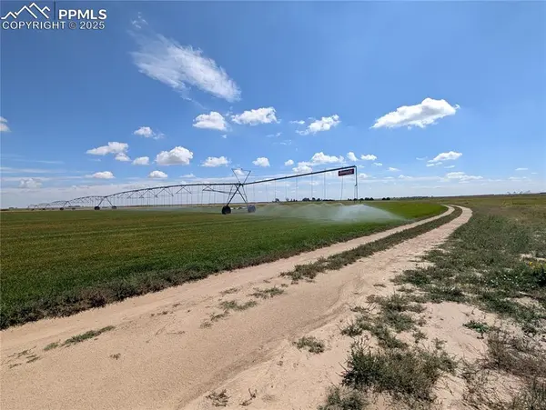 23500 County Road 5, Rush, CO 80833