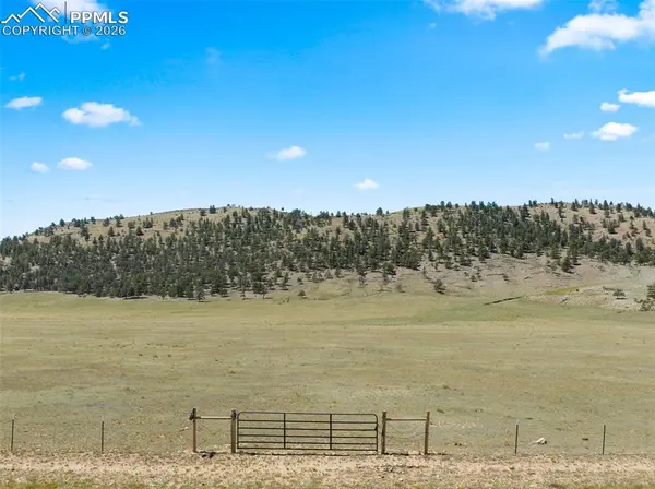 835 Sulphur Mountain RD, Lake George, CO 80827