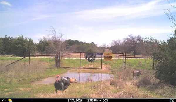 150 Mountain Drive, Graford, TX 76449