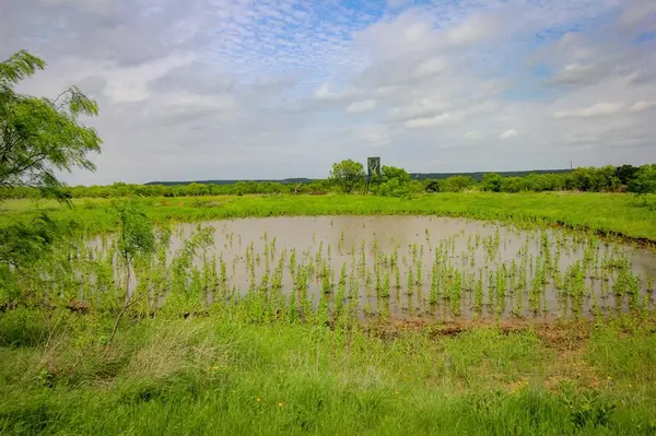 150 Mountain Drive, Graford, TX 76449