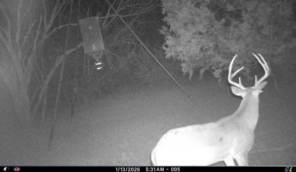 150 Mountain Drive, Graford, TX 76449