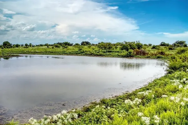 5350 Upper Denton Road, Weatherford, TX 76085