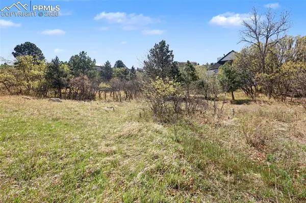 135 Chantrey CT, Colorado Springs, CO 80906