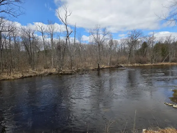 5172 W Pickard RD, Deerfield Twp, MI 48858