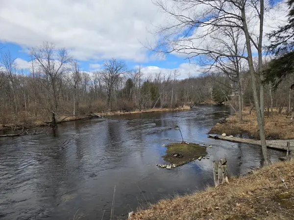 5172 W Pickard RD, Deerfield Twp, MI 48858