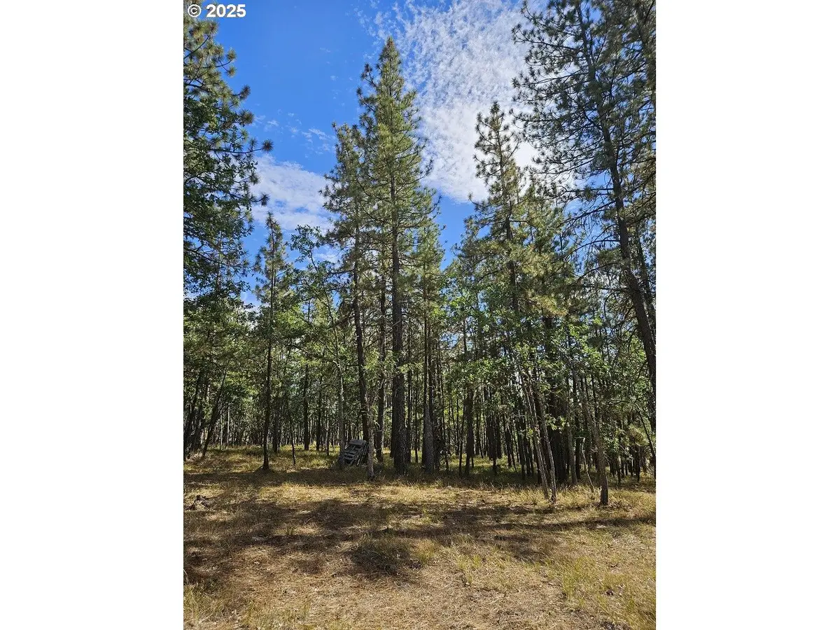 50 Jefferson Vista, Goldendale, WA 98620