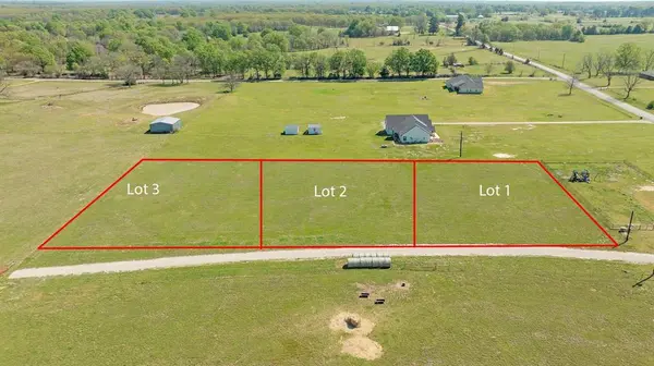 000 Lot 1 Twin Trails, Blossom, TX 75416