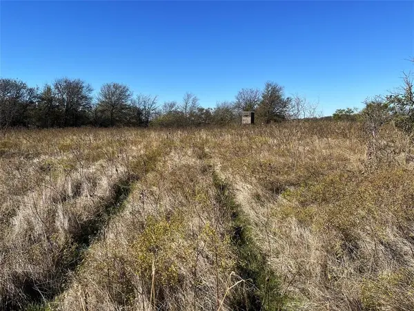 11 Old Tioga Road #22 Acres, Gunter, TX 75058