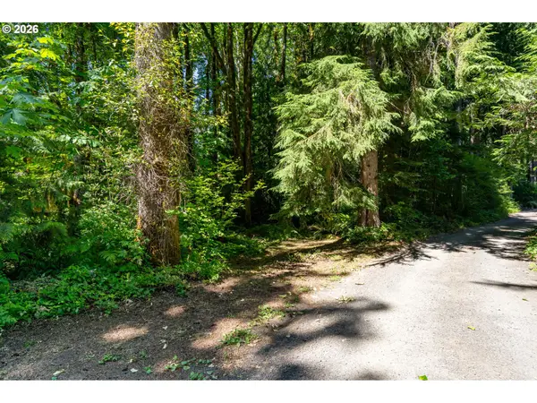 E Zig Zag River RD, Rhododendron, OR 97049