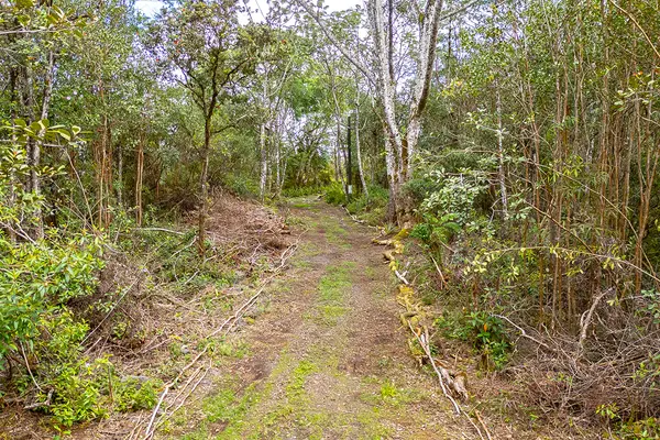 16-331 KIELE ST, Kurtistown, HI 96760