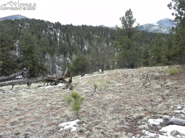 153 Idlewild DR, Cripple Creek, CO 80813