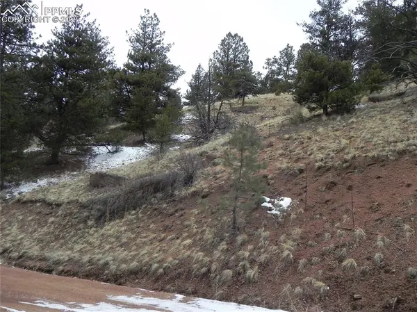153 Idlewild DR, Cripple Creek, CO 80813