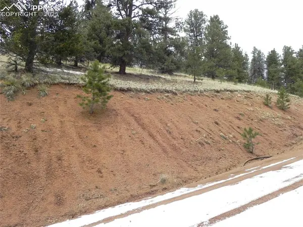 153 Idlewild DR, Cripple Creek, CO 80813
