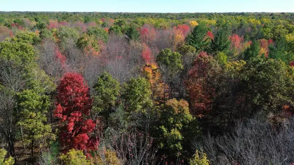 0 Timber TRL, Mills Twp, MI 48756