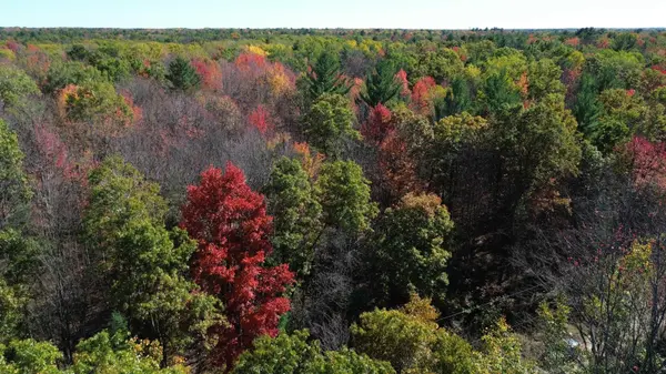 0 Timber TRL, Mills Twp, MI 48756