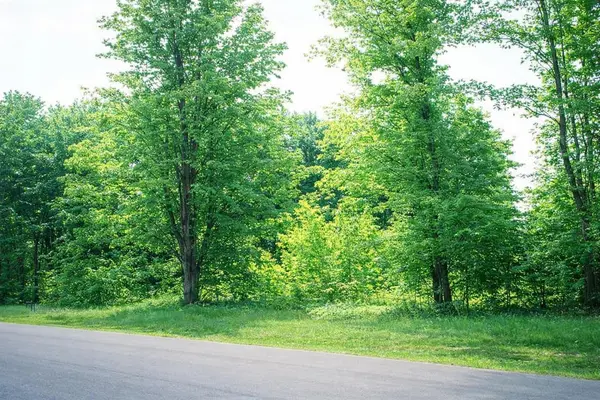 8877 Cedar Creek DR, Springvale Twp, MI 49770