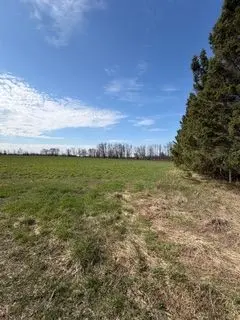 501426 Grey 1 RD, Georgian Bluffs, ON N0H 2T0