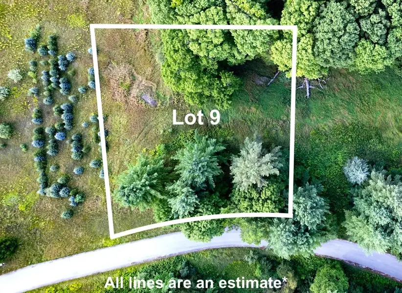 Lot #9 Kadi LN, Almira Twp, MI 49650
