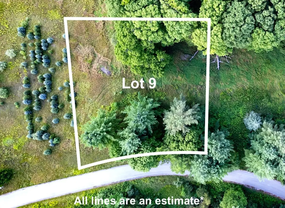 Lot #9 Kadi LN, Almira Twp, MI 49650