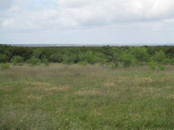 13 AC Elenburg Rd, Perrin, TX 76486